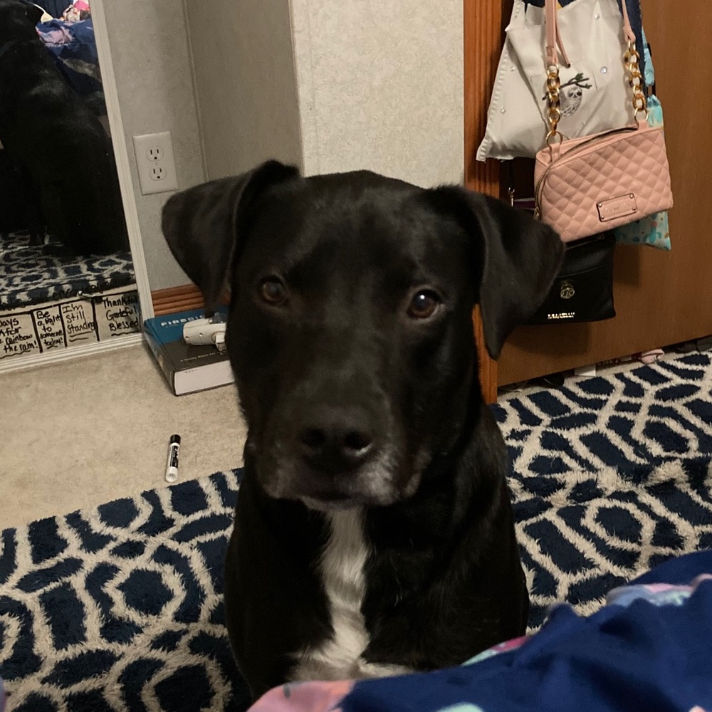 Meet your Posher, Brooklyn